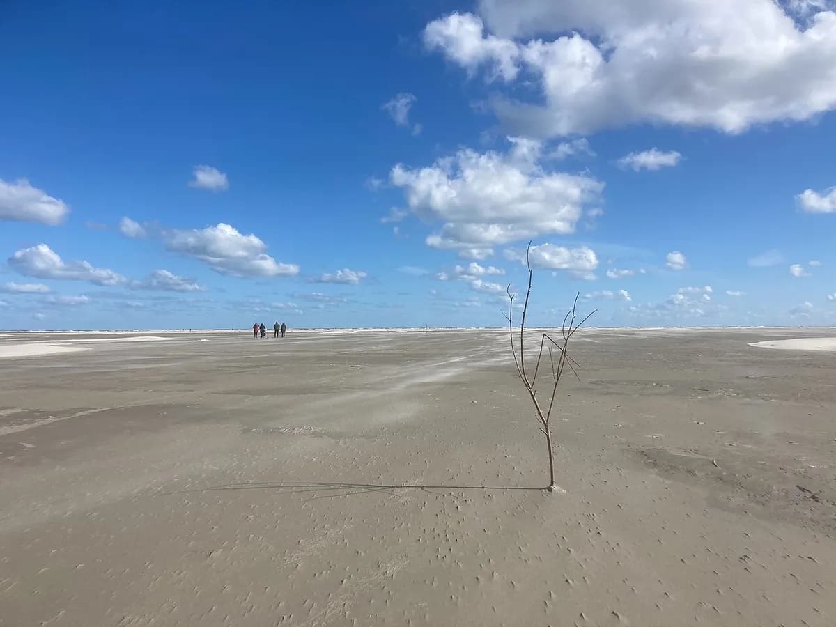 Ameland Noordzeestrand, Ameland, Netherlands