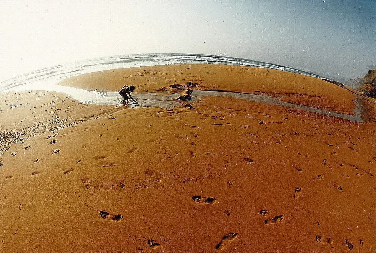 Praia da Ponta Ruiva with its distinctive red sandstone cliff and golden sand, near Sagres, Algarve