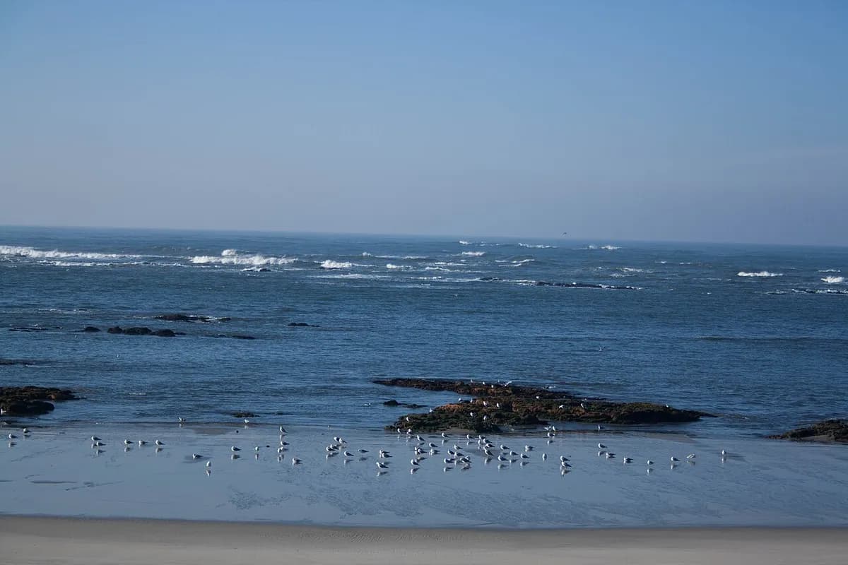 Praia de Afife beach in Viana do Castelo, Portugal