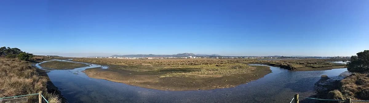 Praia Suave Mar dog-friendly beach in Esposende with dunes and Atlantic waves