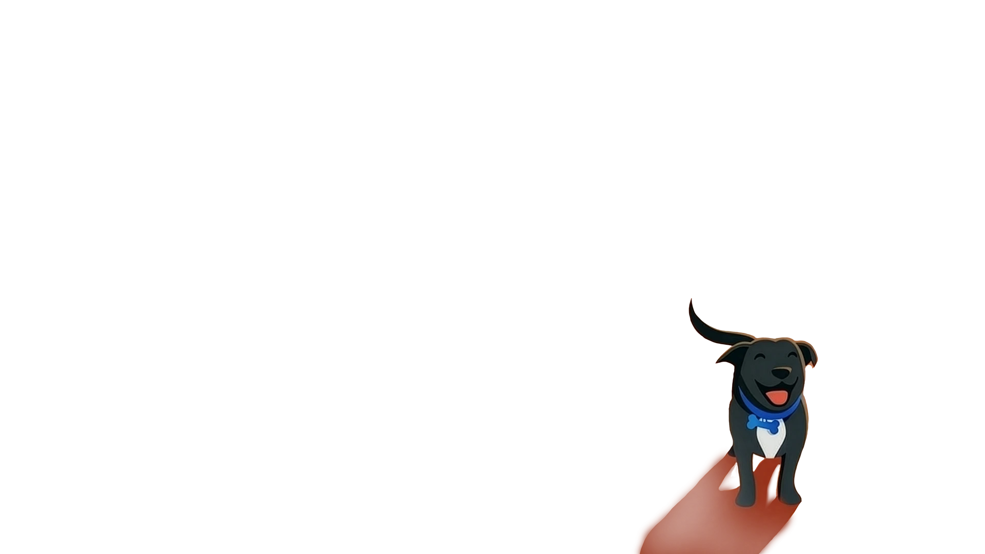 Bandito the dog mascot running happily on the beach